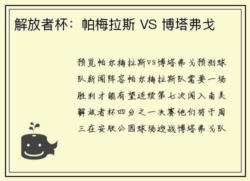 解放者杯：帕梅拉斯 VS 博塔弗戈