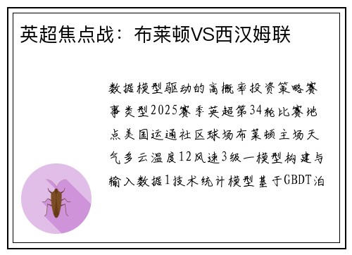 英超焦点战：布莱顿VS西汉姆联